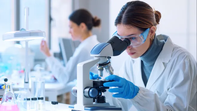 Laboratory